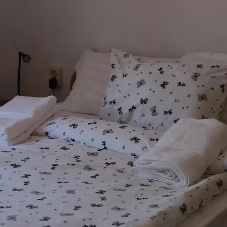 ижата 2 Borovitsa