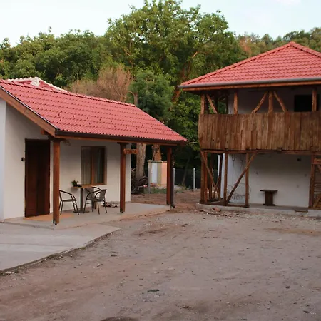 ижата 2 Borovitsa