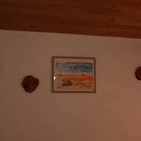 ижата 2 Borovitsa