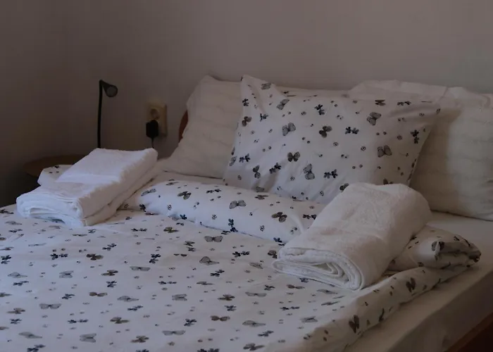 ижата 2 Borovitsa