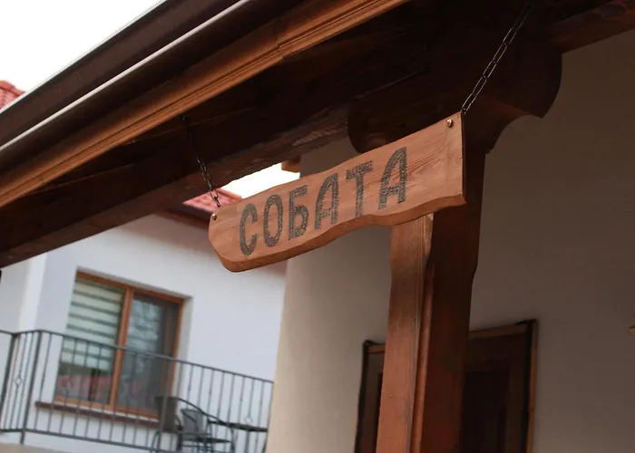 ижата 2 * Borovitsa