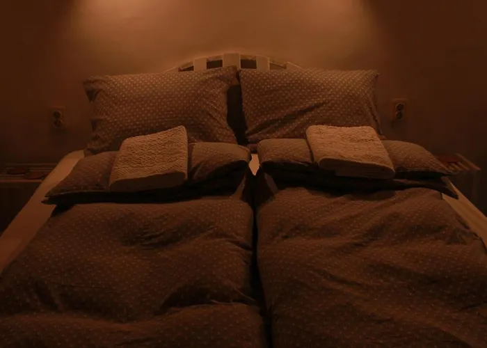 Tatil Evi ижата 2 Borovitsa